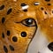 Hello Honey® 11" Multicolor Hand-Painted Decorative Stoneware Cheetah Vase